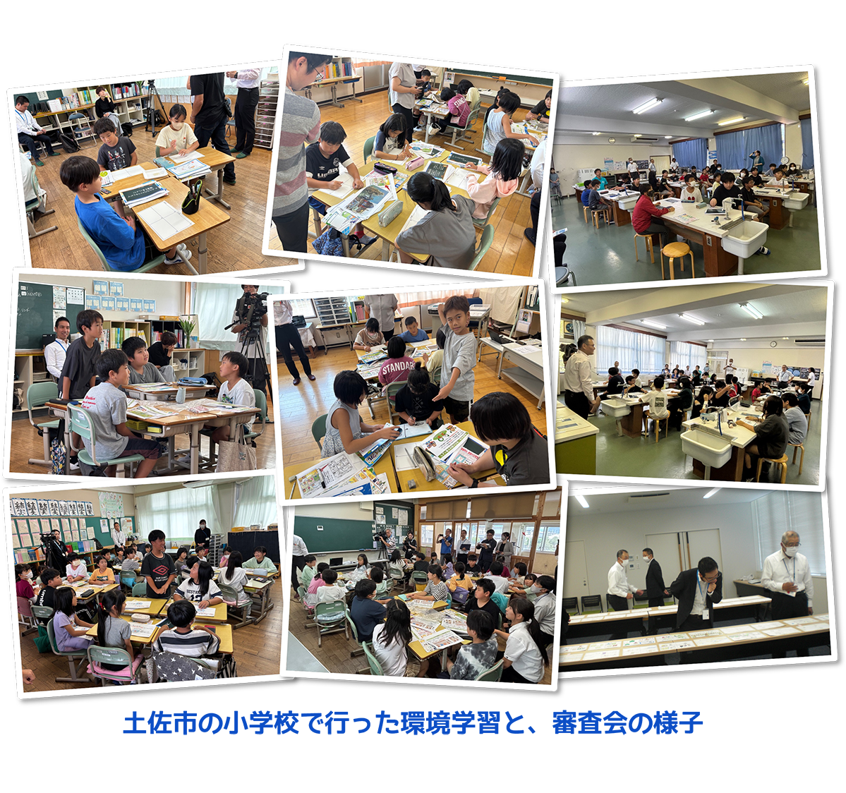 環境学習と審査会