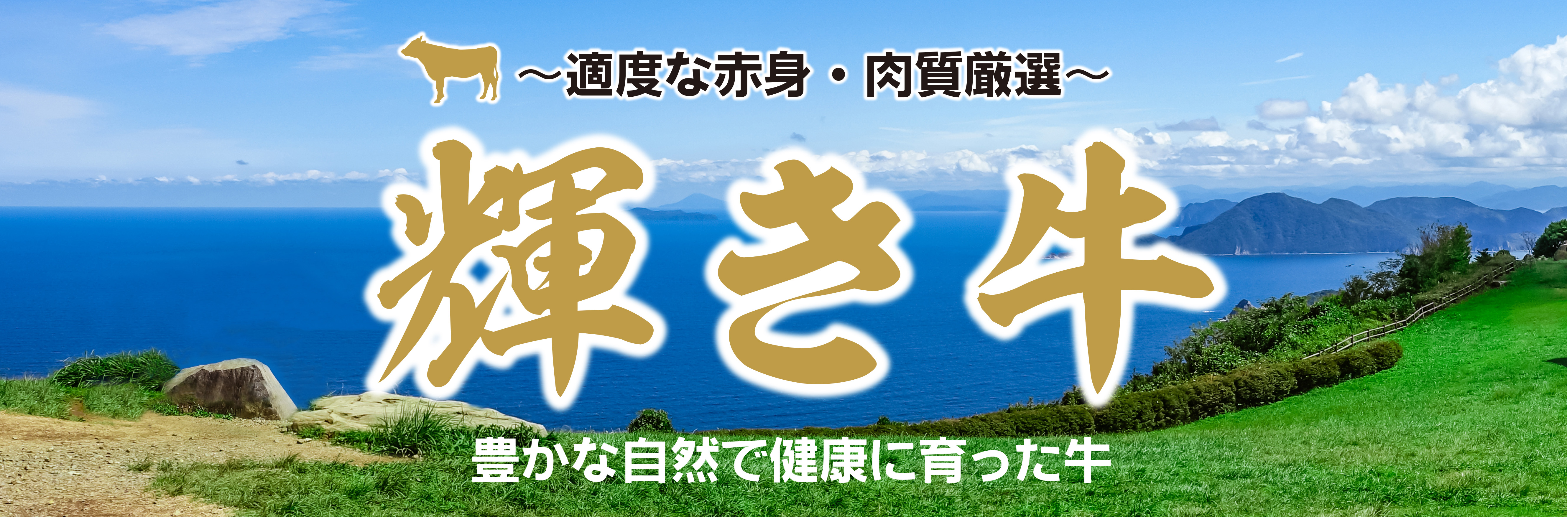 果肉様 Z－508 DX本体 | 製品詳細 | シーピー化成株式会社